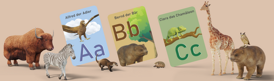 3 Geheimnisse der ABC Erlebniskarten