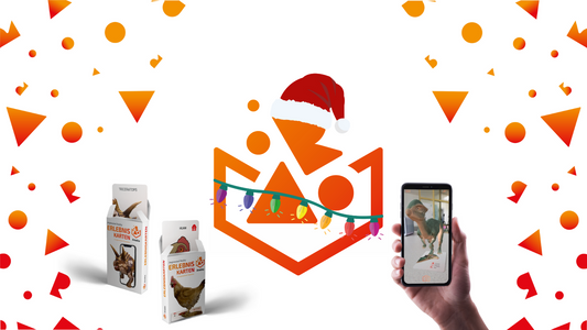 Dein Areeka-Weihnachtsgeschenk