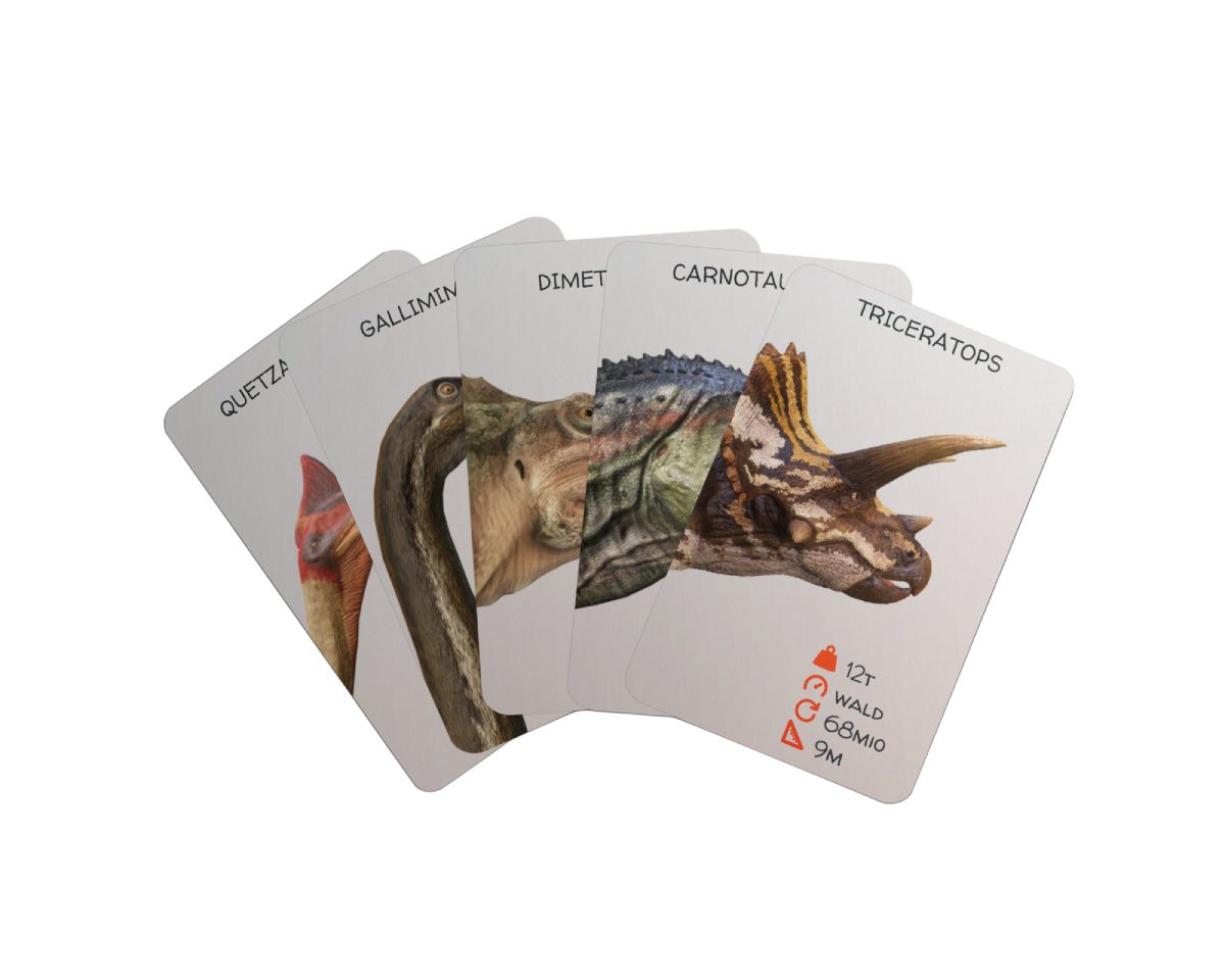 21022020 _ MockUP _ Dino _KartenSpread