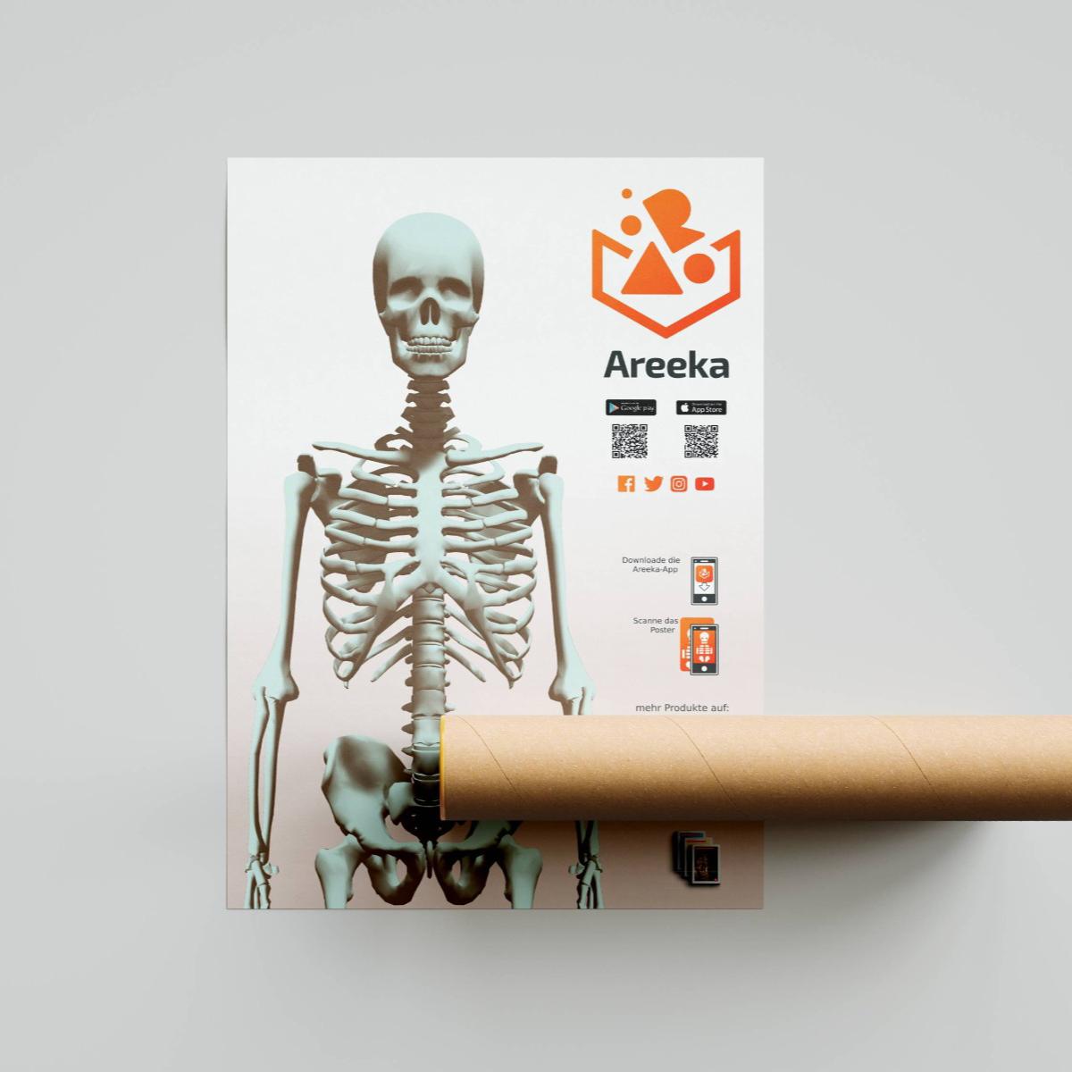 Areeka Augmented Reality Skelet Poster Cover